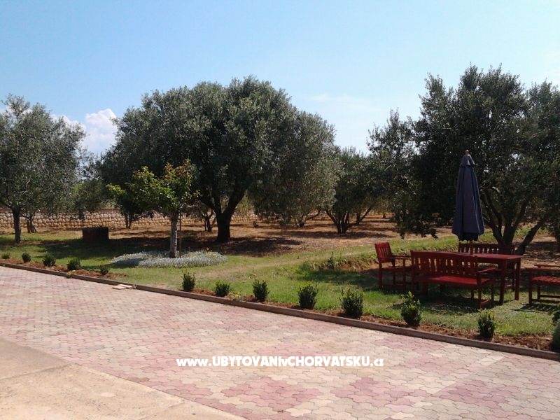 Apartmány Vesna a Ante – ubytování Privlaka, Chorvatsko – foto 11