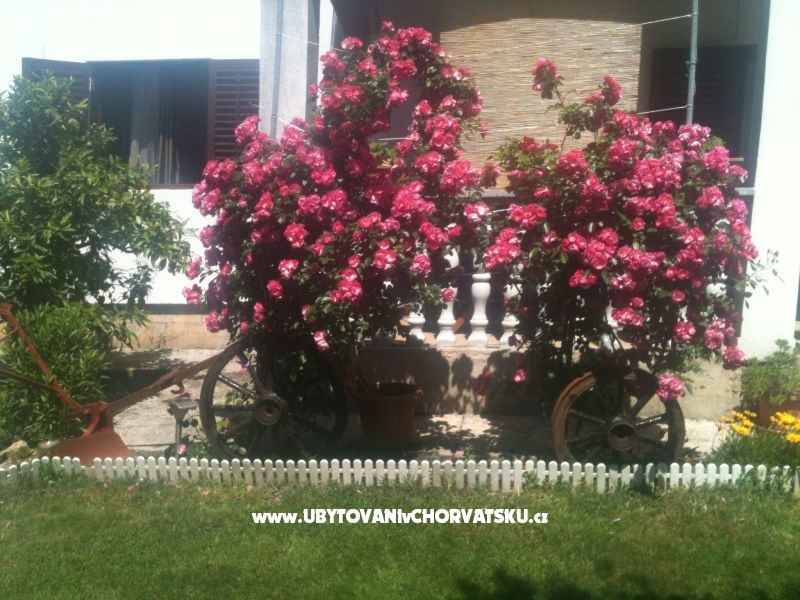 Apartment Luka – Ferienwohnung Privlaka, Kroatien – Foto 15