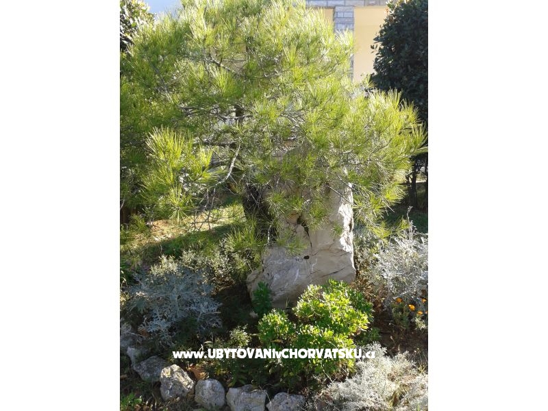 Apartmány Mare &amp; Berto – ubytování Privlaka, Chorvatsko – foto 4