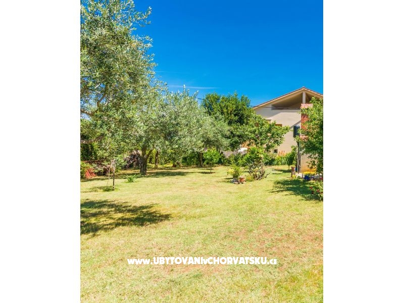 Appartements Blanka – Ferienwohnung Privlaka, Kroatien – Foto 2