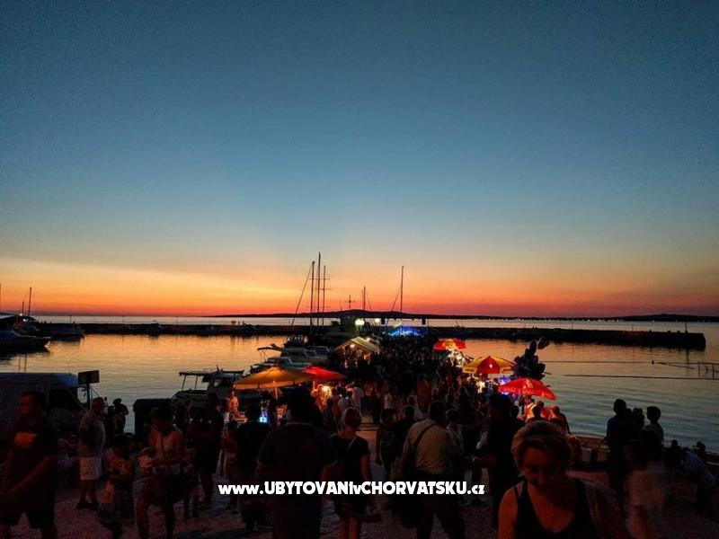 Appartements Donata – Ferienwohnung Privlaka, Kroatien – Foto 3