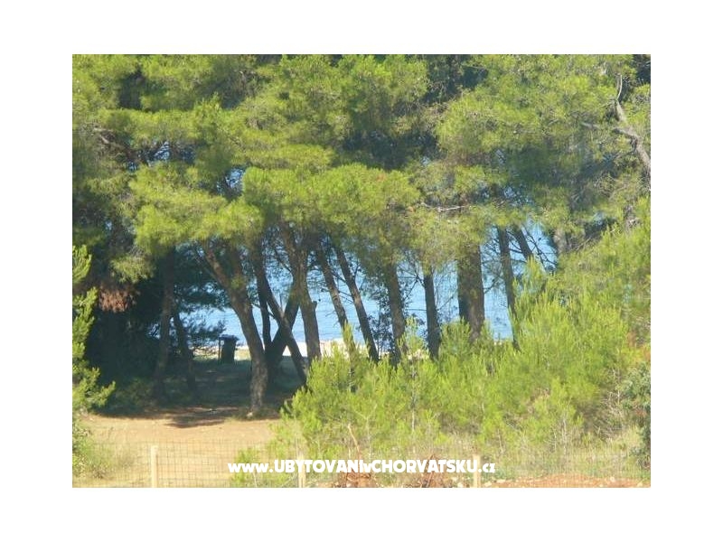 Appartements Dora – Ferienwohnung Privlaka, Kroatien – Foto 4