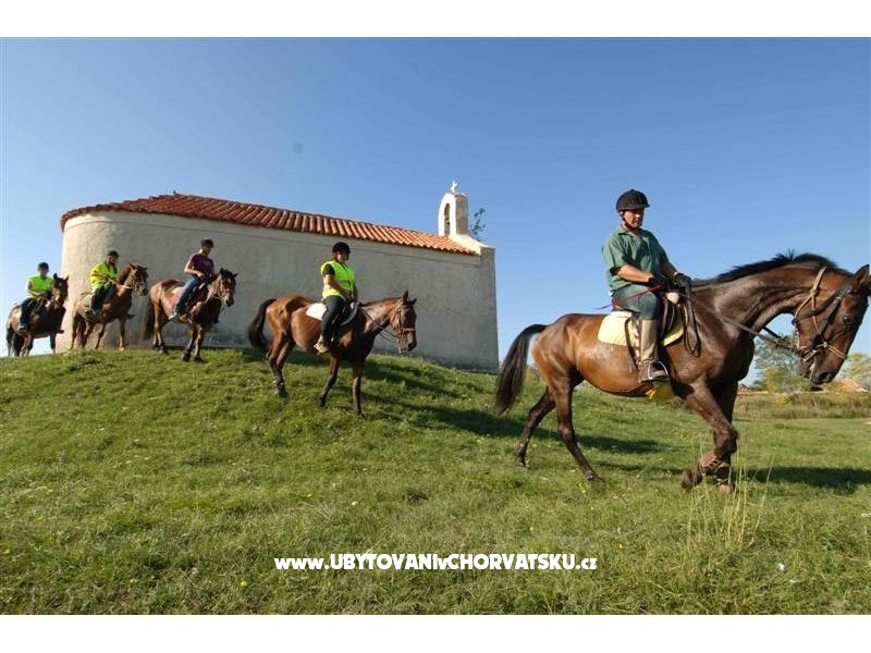  Apartmáni Julieta  – Ferienwohnung Privlaka, Kroatien – Foto 4