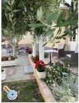 Apartments Jurac - Privlaka Croatia