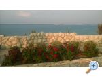 Appartements Kralj - Privlaka Kroatien