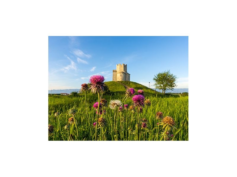 Appartements Šarić – Ferienwohnung Privlaka, Kroatien – Foto 13