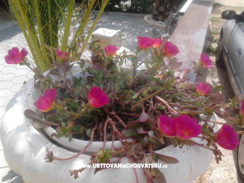 Apartmány Tiffany – ubytování Privlaka, Chorvatsko – foto 8