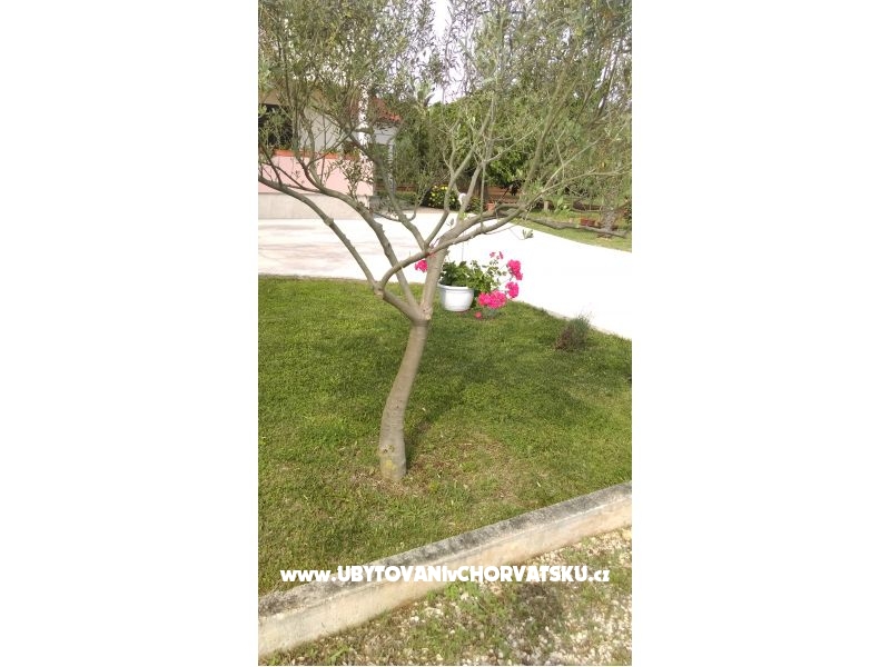 Appartements Tomi – Ferienwohnung Privlaka, Kroatien – Foto 12