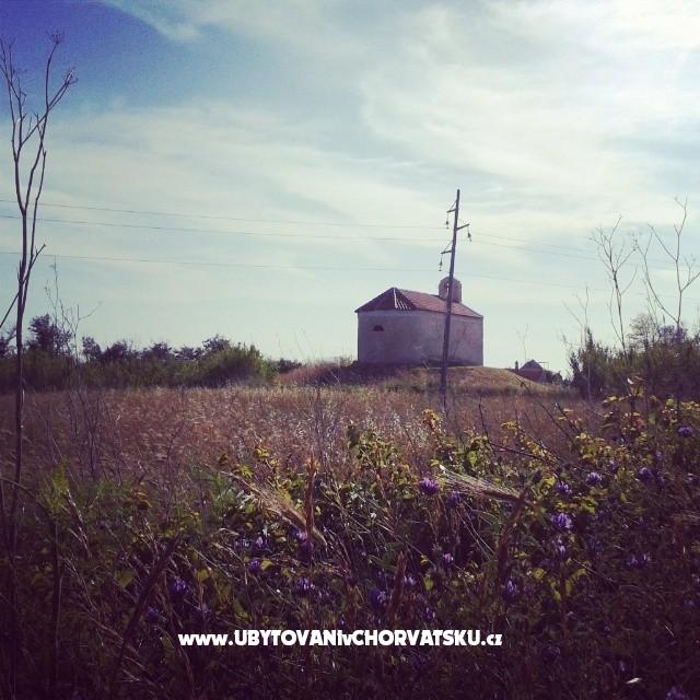 Appartements Vid – Ferienwohnung Privlaka, Kroatien – Foto 2