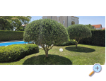 Villa Marivel - Privlaka Kroatien