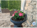 Apartmny Liljana Ledinko - Privlaka Chorvatsko