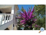 Apartmaji ime - Privlaka Hrvaka