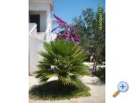 Apartmaji ime - Privlaka Hrvaka