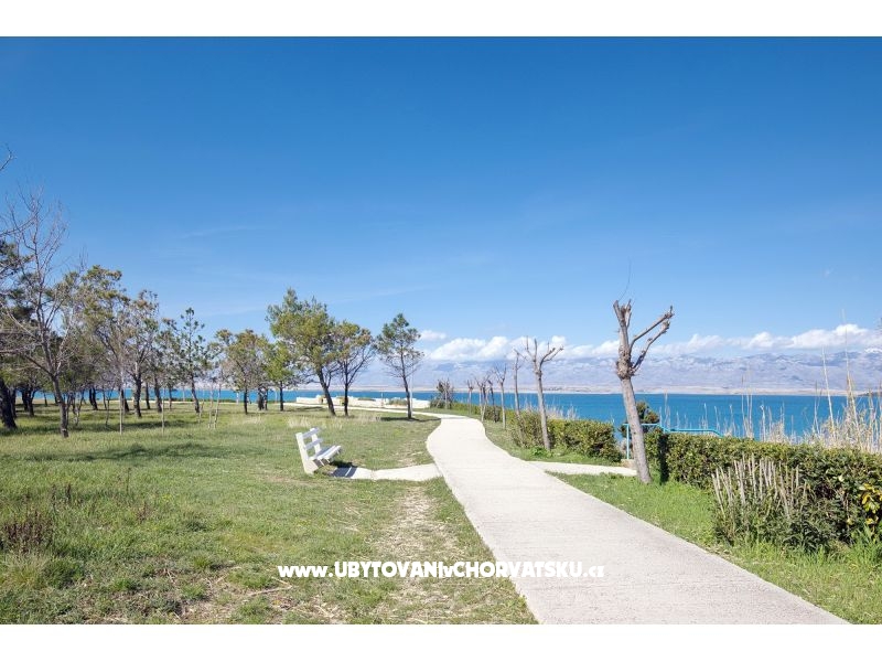 Fabijan – Ferienwohnung Privlaka, Kroatien – Foto 10