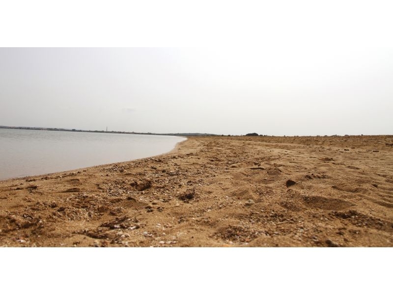 Fabijan – Ferienwohnung Privlaka, Kroatien – Foto 14