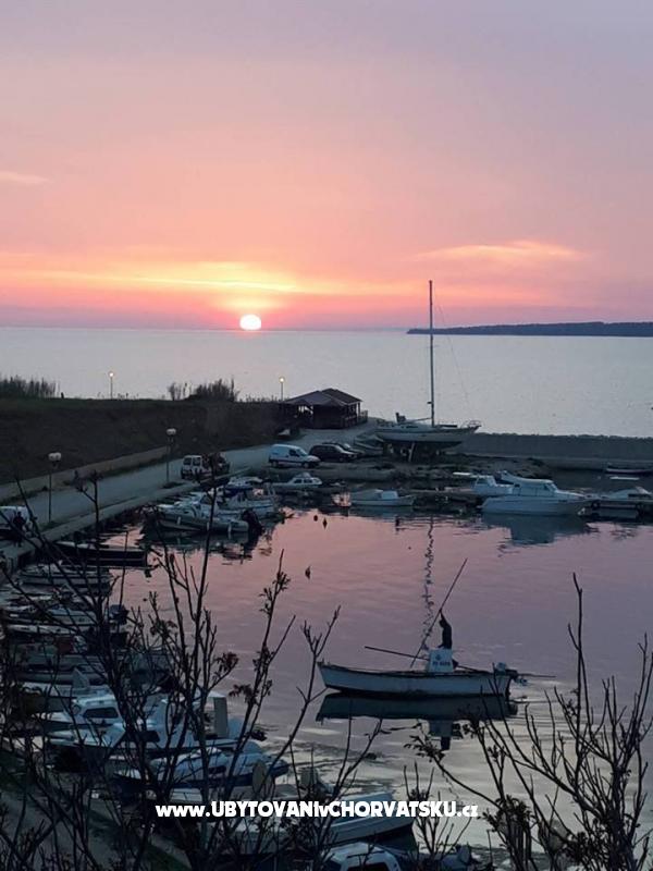 Studio Apartment Terezija – Ferienwohnung Privlaka, Kroatien – Foto 5