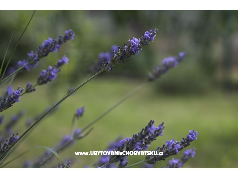 Apartment Lu&amp;Li – Ferienwohnung Pula, Kroatien – Foto 18