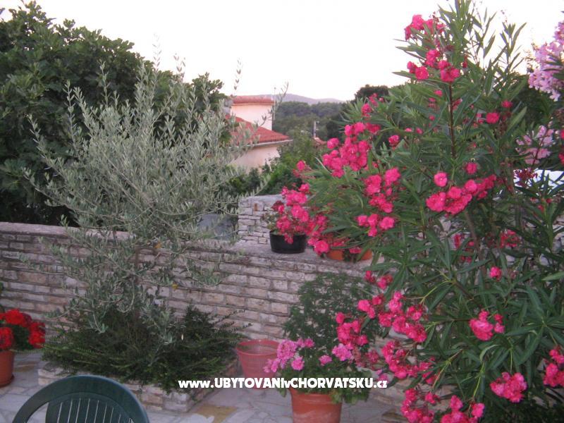 apartman Aurelia – ubytování Pula, Chorvatsko – foto 11