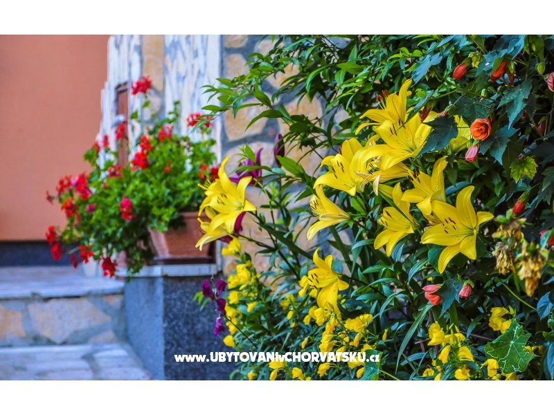 Apartment M&amp;M – Ferienwohnung Pula, Kroatien – Foto 2