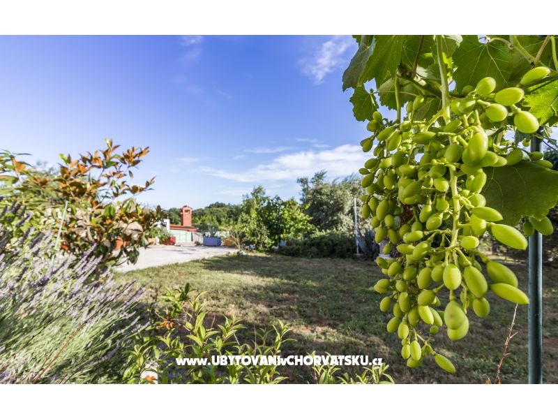 Apartment Mika – Ferienwohnung Pula, Kroatien – Foto 12