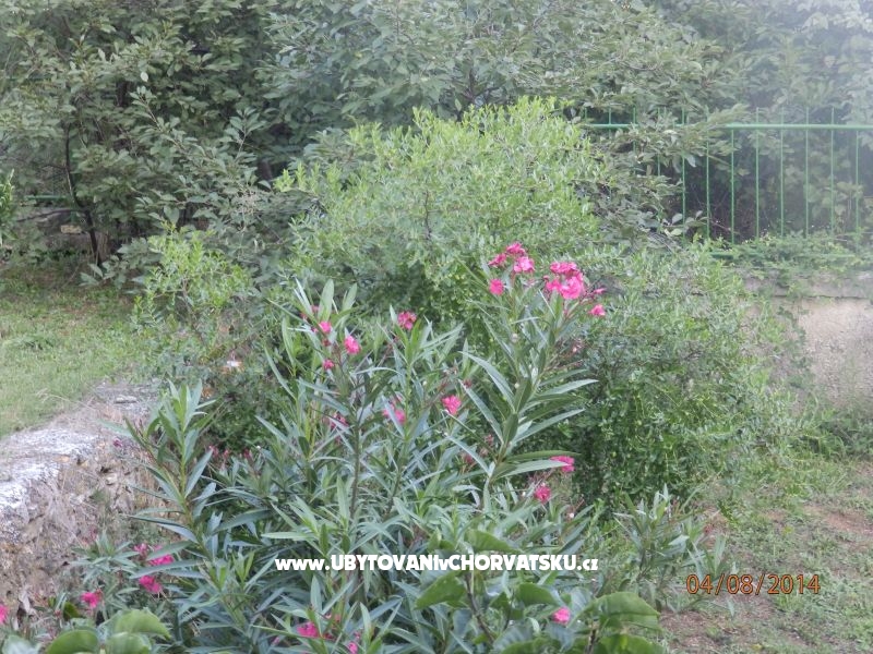 Apartmán Valdebek – ubytování Pula, Chorvatsko – foto 15