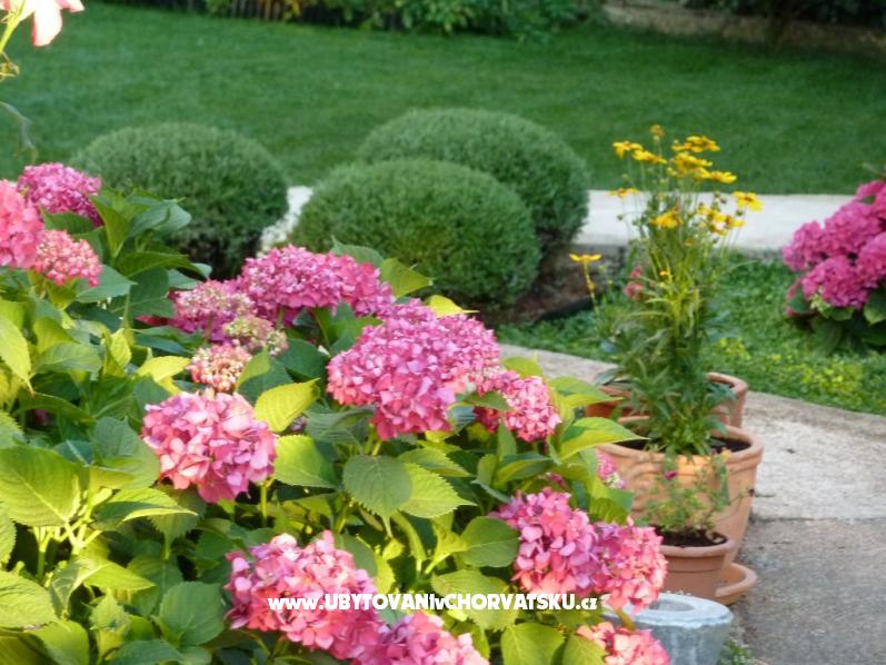 Appartements Grbin – Ferienwohnung Pula, Kroatien – Foto 17