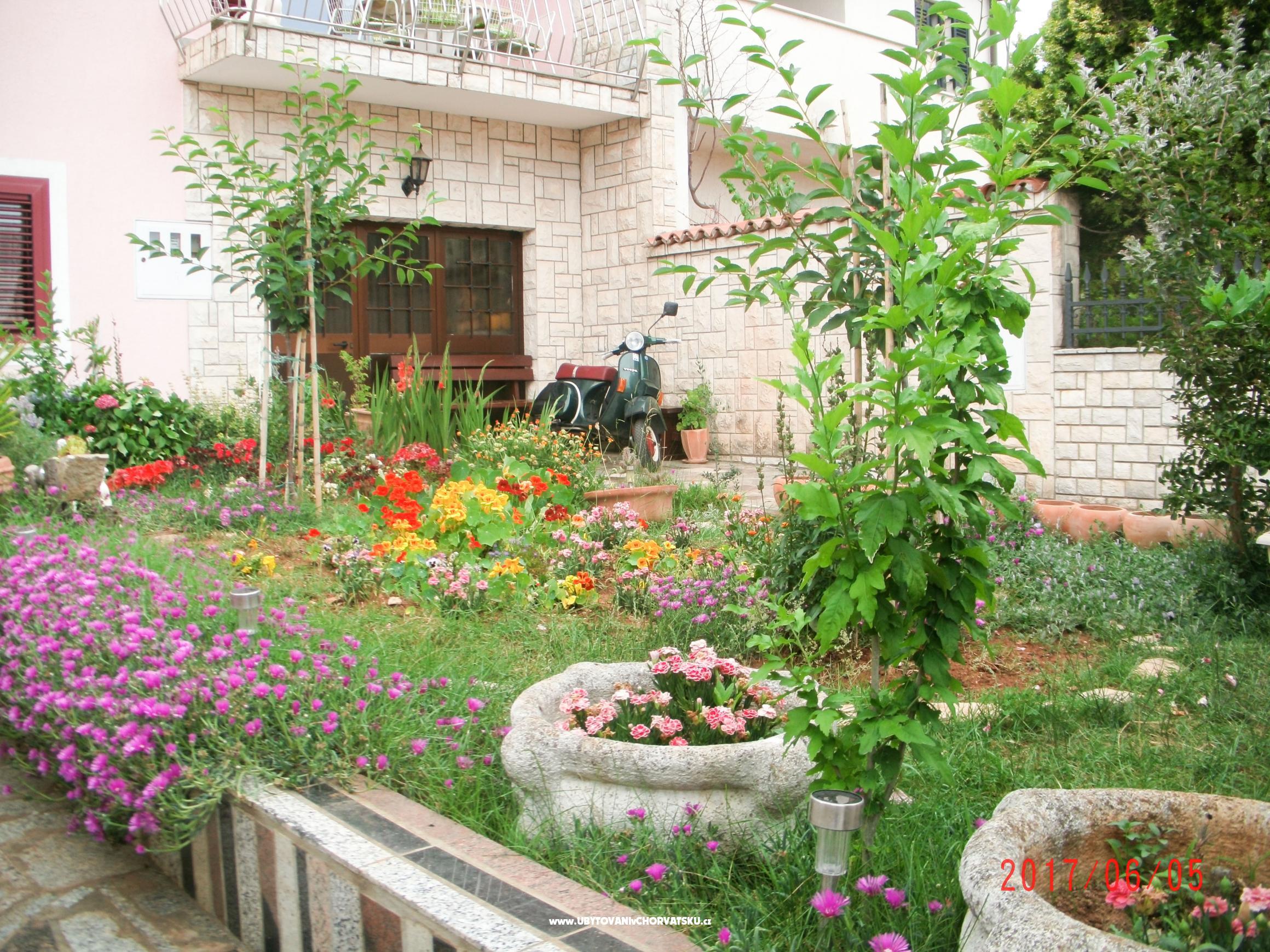 Appartement Gaby – Ferienwohnung Pula, Kroatien – Foto 3