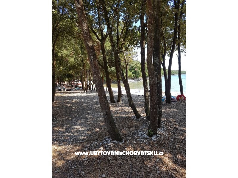 Ferienwohnungen Duga Uvala – Ferienwohnung Pula, Kroatien – Foto 15