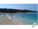 Apartmaji Alida Stinjan - Pula Hrvaka