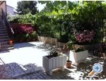 Appartements Tea - Pula Croatie