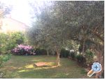 Appartements Tea - Pula Croatie
