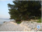 Apartmaji Villa Dolores - Pula Hrvaka