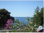 Ferienwohnungen Villa Vanda - Pula Kroatien