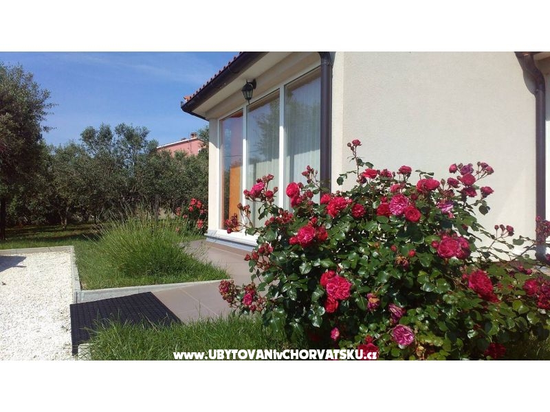 Kuća za odmor Brcina – ubytování Pula, Chorvatsko – foto 7