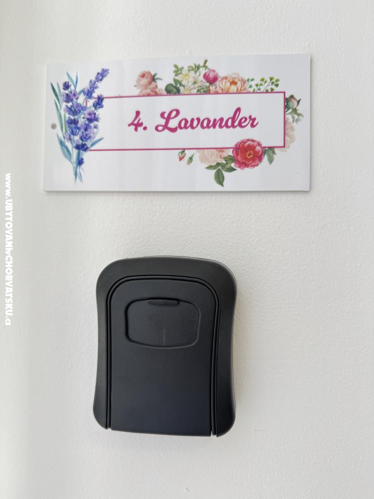 Flowers Apartmanok Pula - Pula Horv�torsz�g