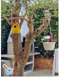 APP Malu - Pula Croatia