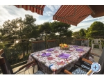 Apartment Petra - Pula Kroatien