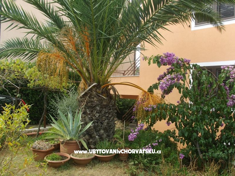 Privatna kuća – Ferienwohnung Pula, Kroatien – Foto 11