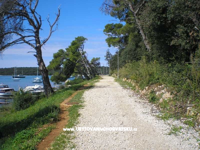 Privatna kuća – Ferienwohnung Pula, Kroatien – Foto 14