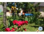 tinjan apartmani Elda - Pula Hrvaka