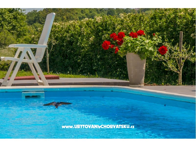 Villa Lorena – Ferienwohnung Pula, Kroatien – Foto 10