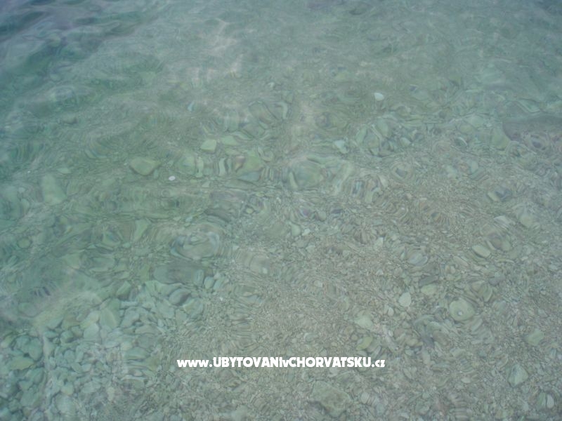 Villa Lorena – Ferienwohnung Pula, Kroatien – Foto 12