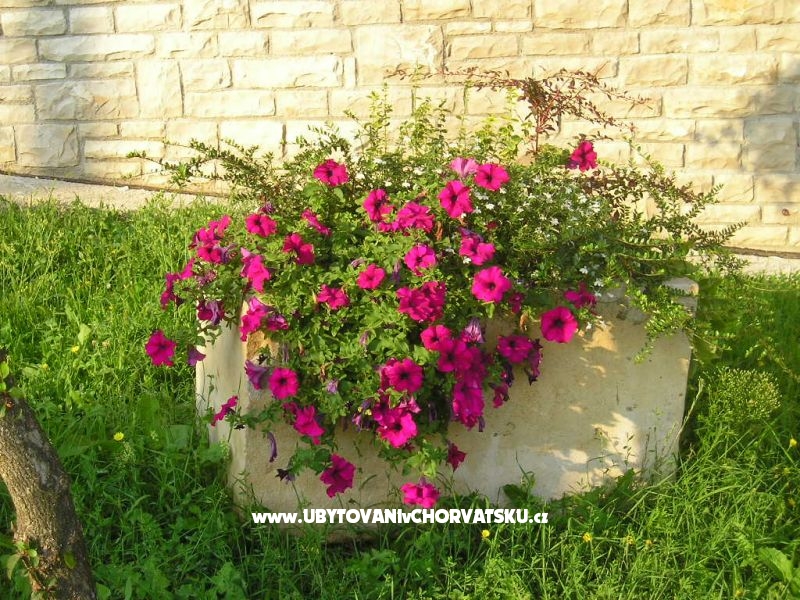 Villa Lorena – Ferienwohnung Pula, Kroatien – Foto 15