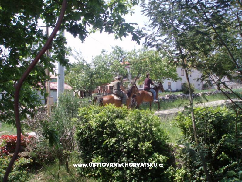 Villa Lorena – Ferienwohnung Pula, Kroatien – Foto 16