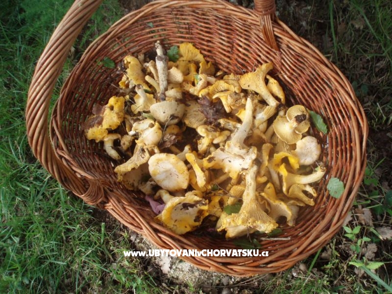 Villa Lorena – Ferienwohnung Pula, Kroatien – Foto 18