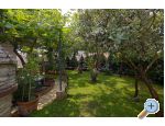 Villa Kascuni - Pula Croatie