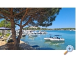 Villa Tatjana - Pula Kroatien