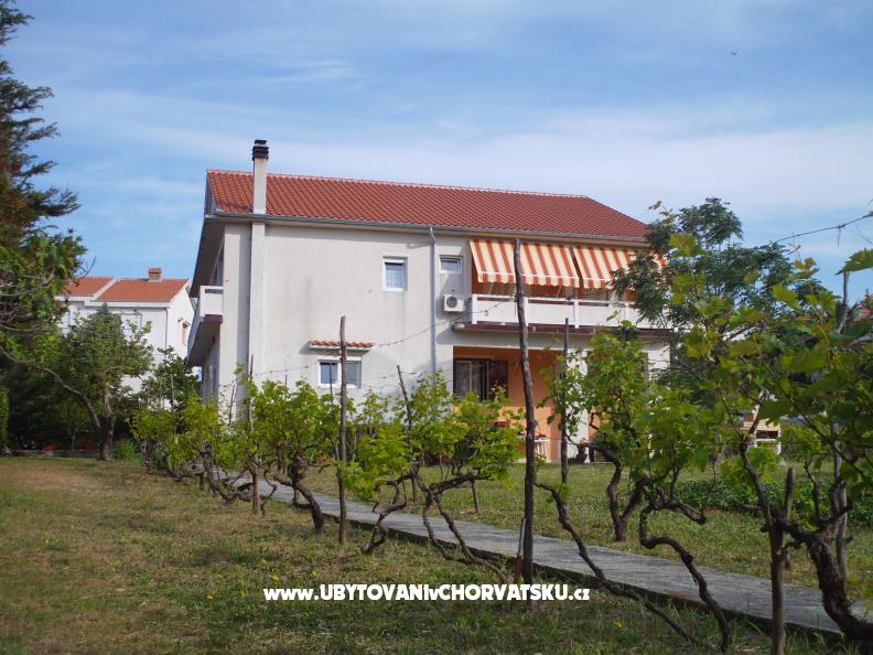 Ferienwohnungen Ankica – Ferienwohnung Insel Rab, Kroatien – Foto 1