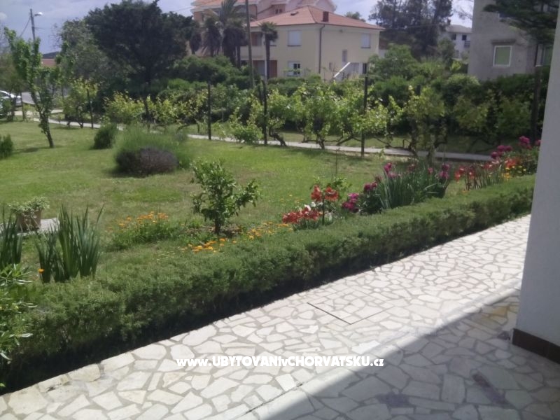 Ferienwohnungen Ankica – Ferienwohnung Insel Rab, Kroatien – Foto 12