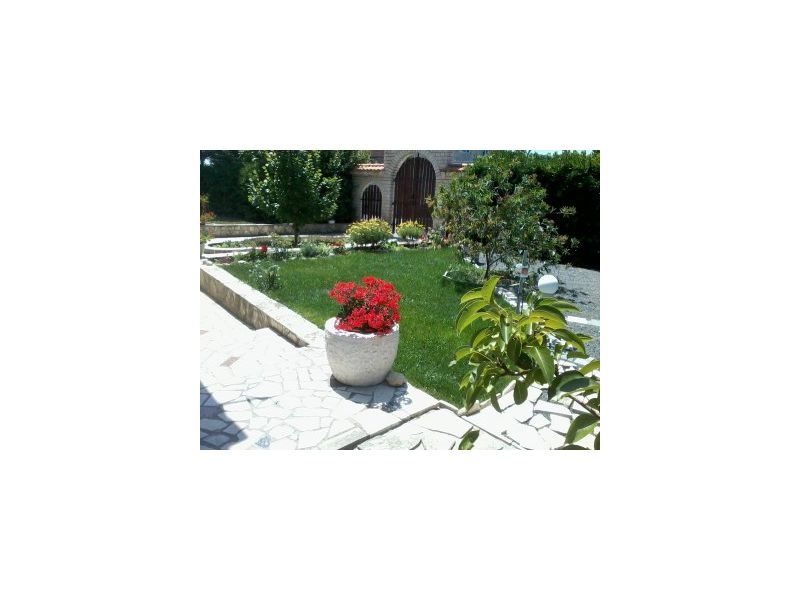 Ferienwohnungen Ankica – Ferienwohnung Insel Rab, Kroatien – Foto 4